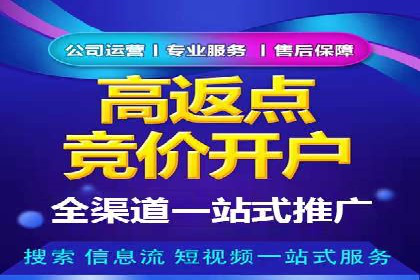 百度竞价广告投放技巧揭秘
